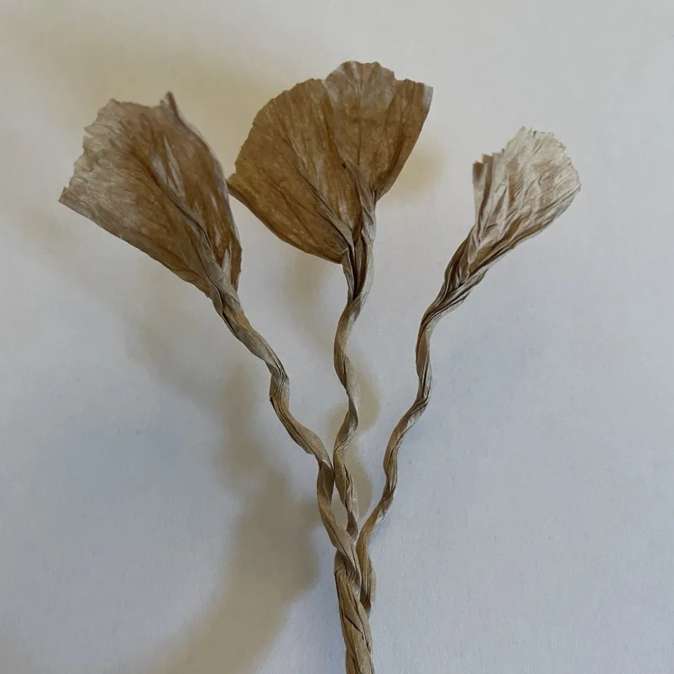 Papierkordel